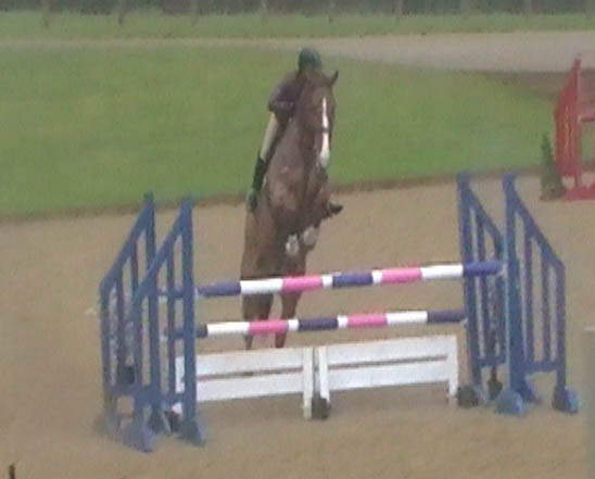 Show Jumping Marchington Osars Way                                                                                                                                                                                                                             